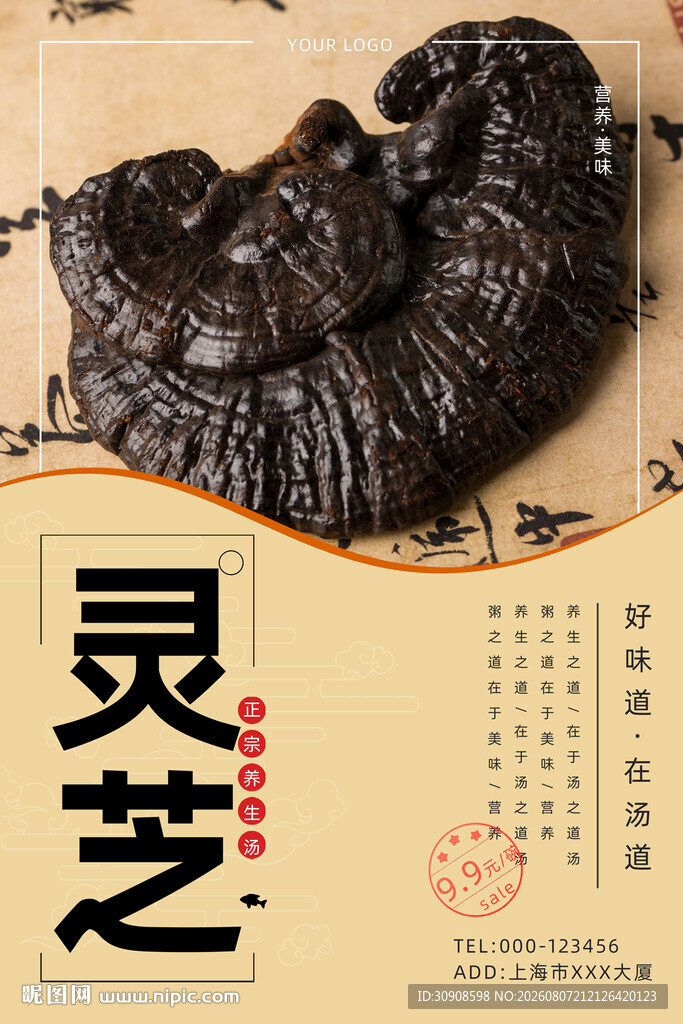 灵芝
