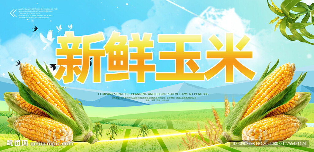 玉米