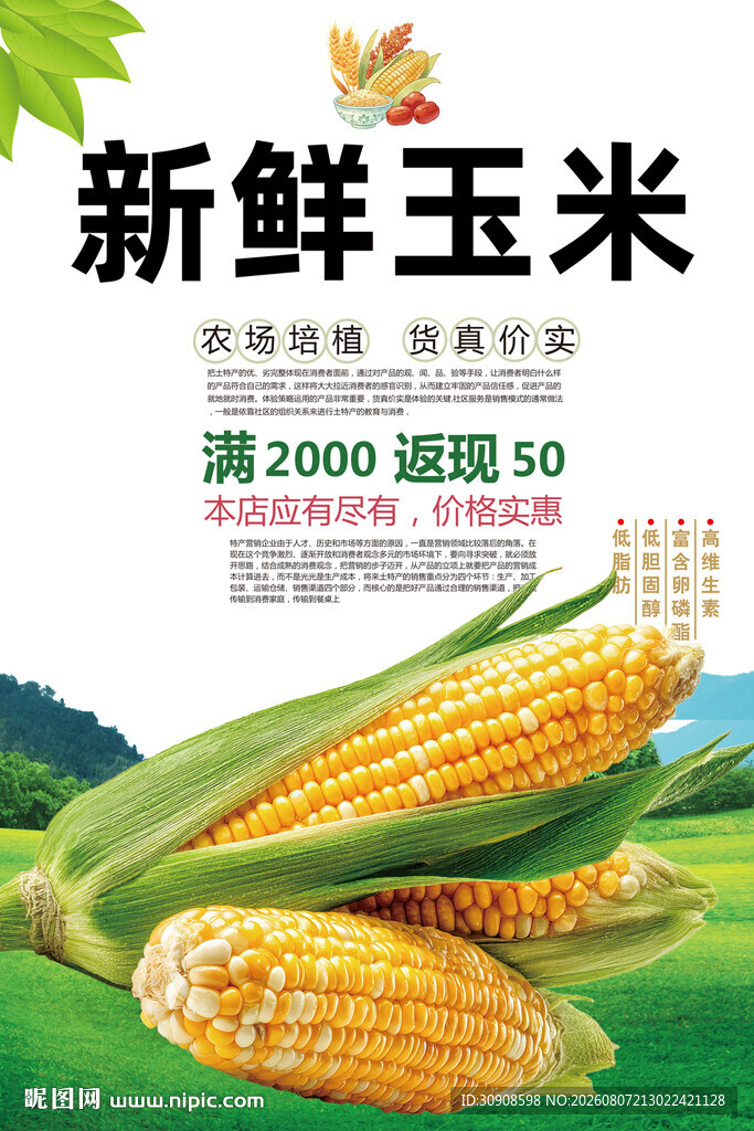 玉米