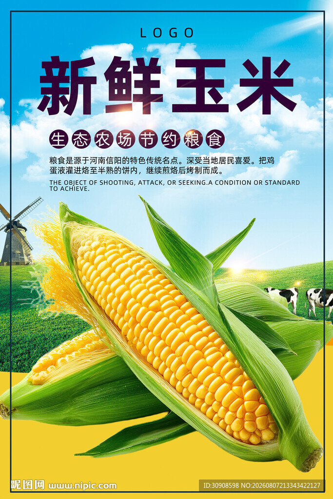 玉米