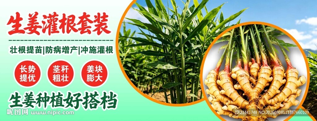 生姜