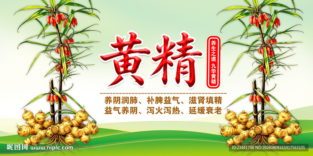 黄精