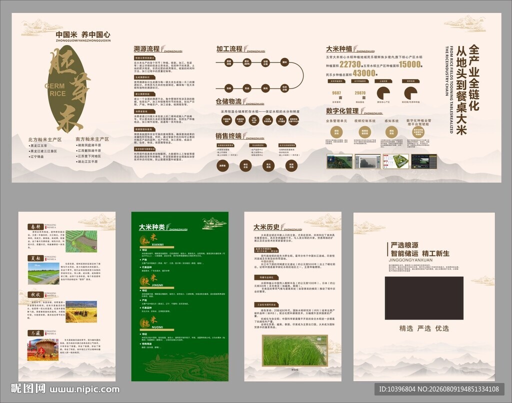 大米展厅文化墙