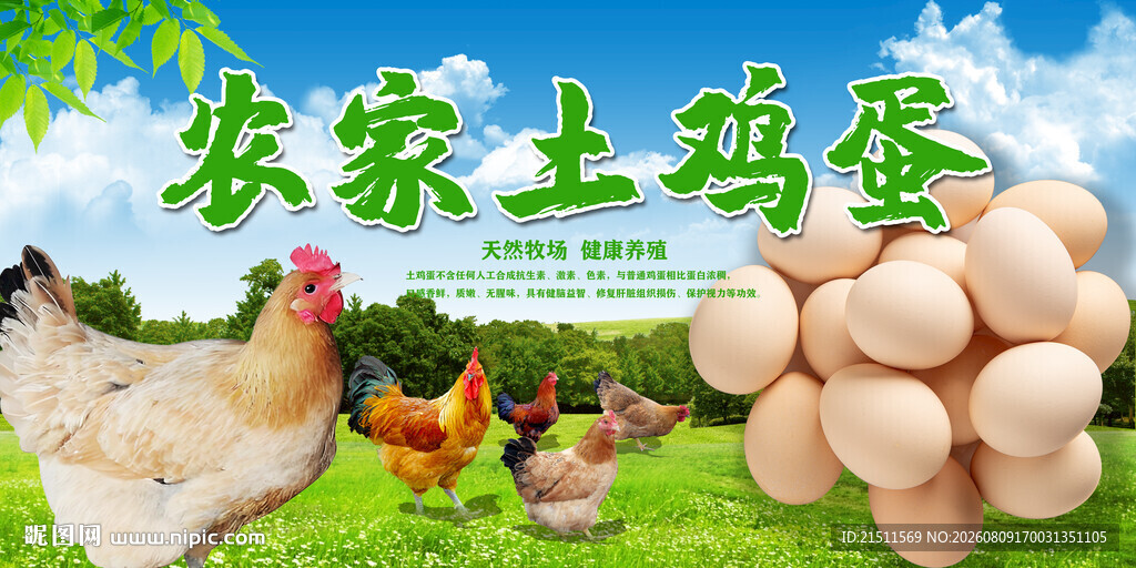 土鸡蛋