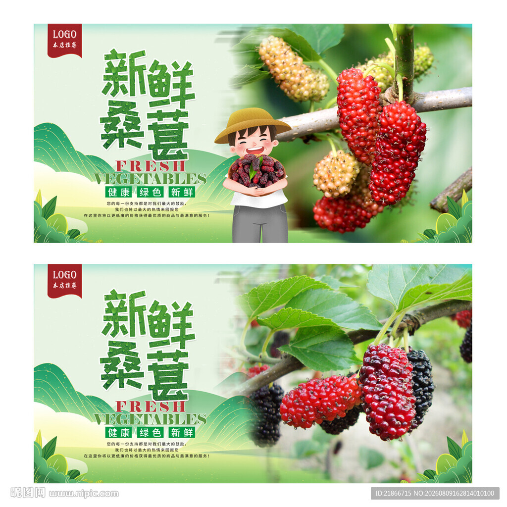 桑葚