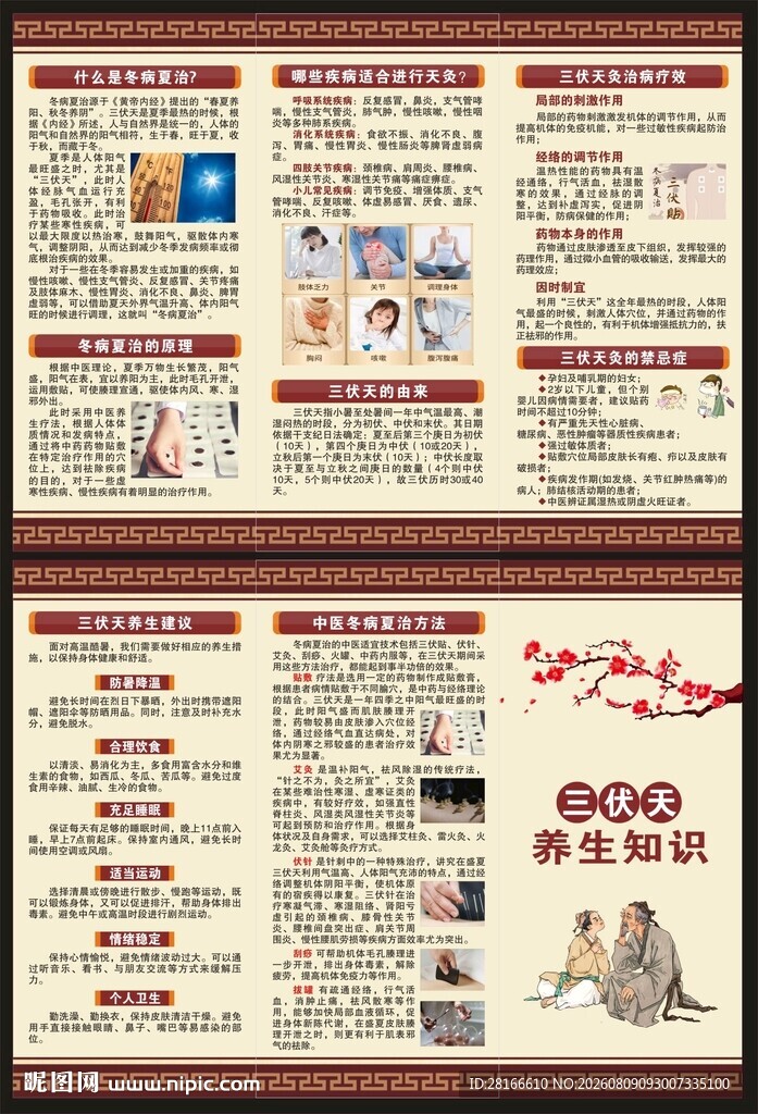 中医三伏天三折页