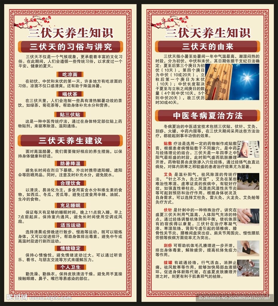 三伏天养生知识展架