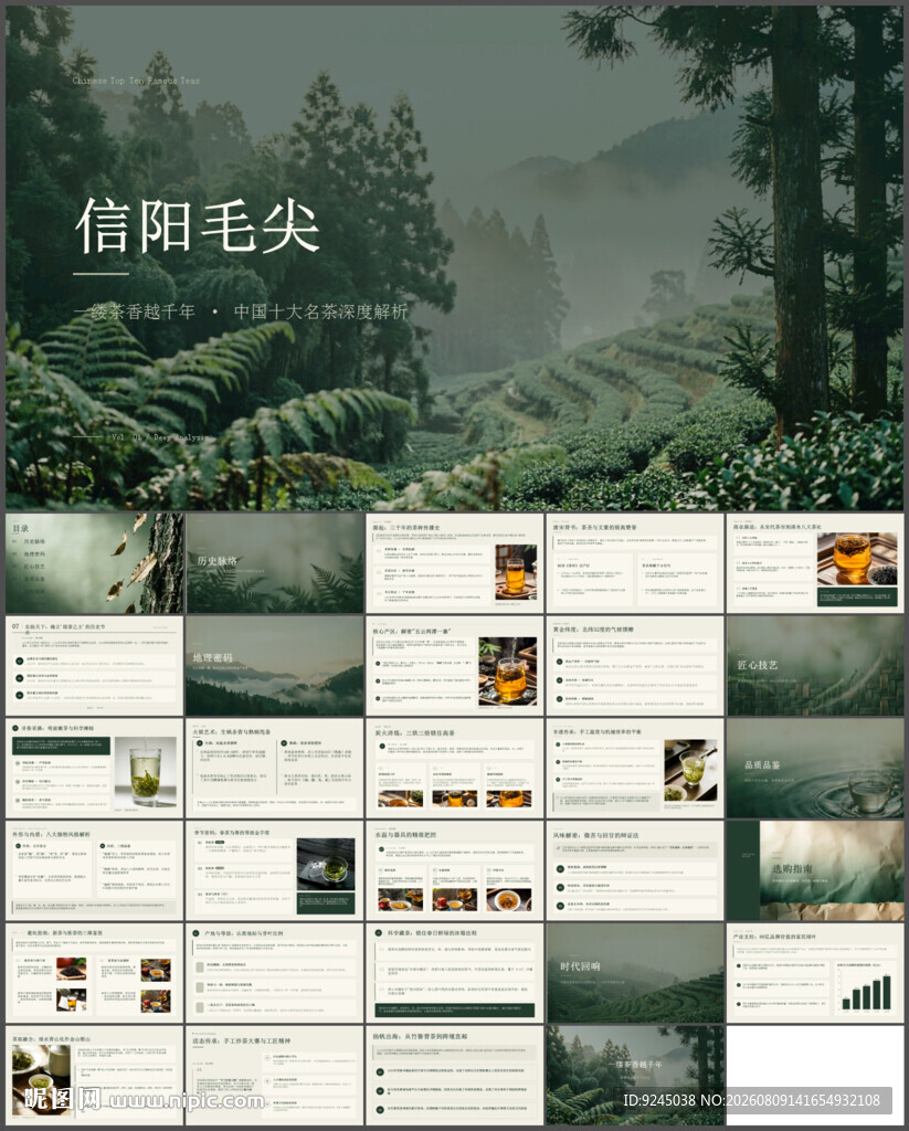 信阳毛尖宣传PPT模板