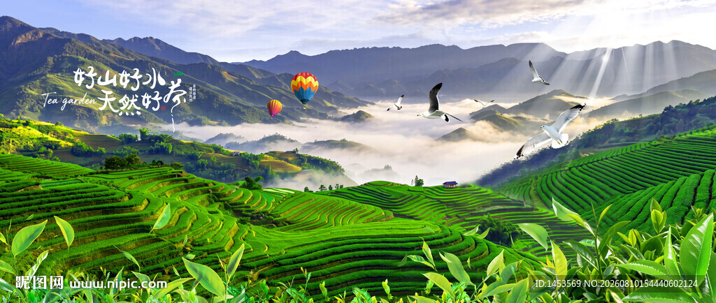 茶山