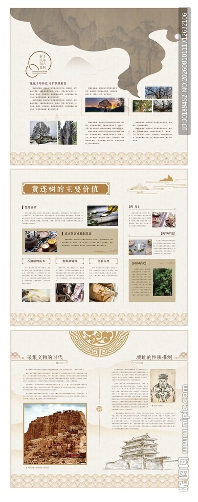 传统古代中医药材文化墙展厅