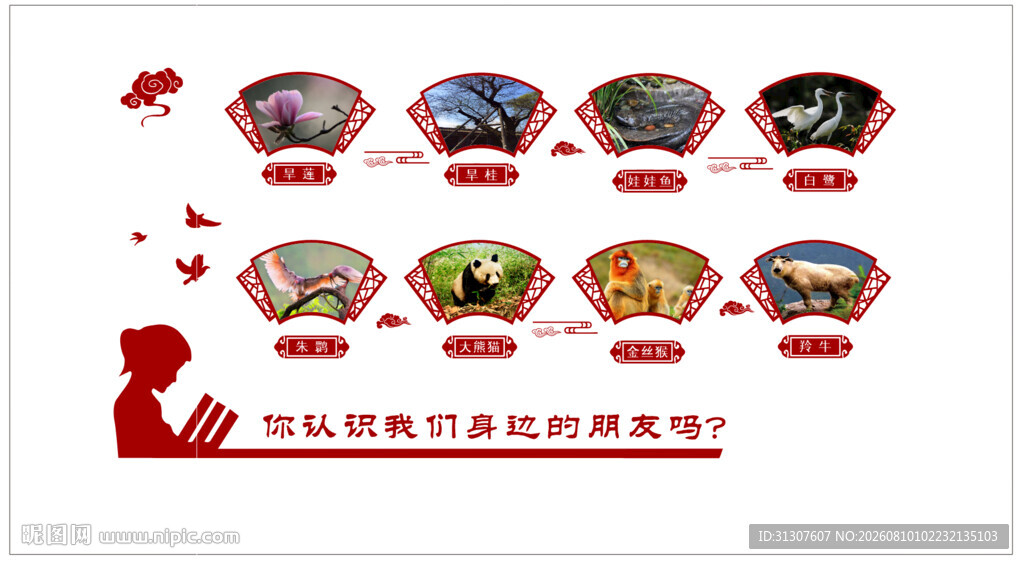  校园文化   保护动物 
