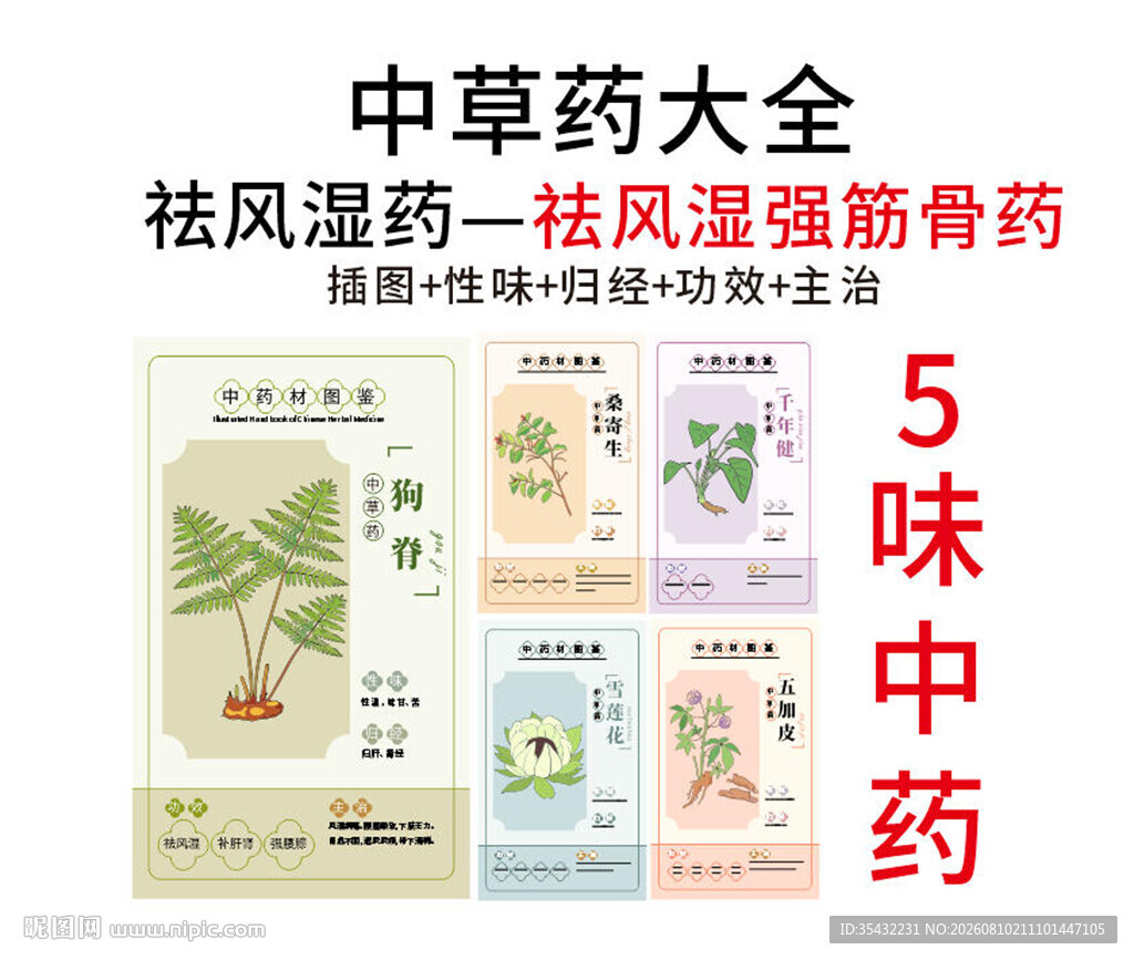 中草药大全之祛风湿强筋骨药