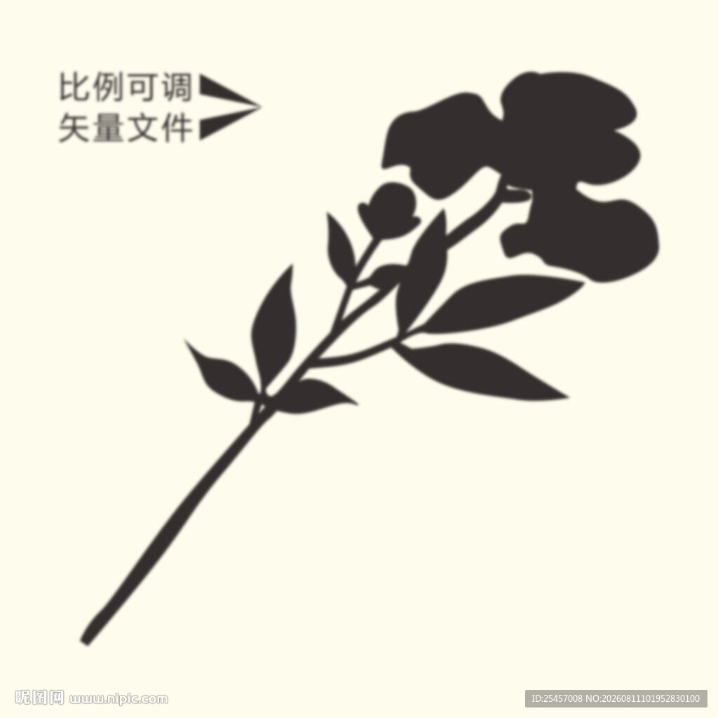 花枝剪影