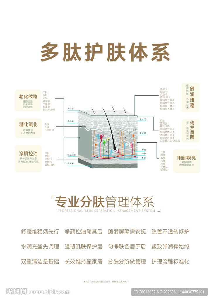 多肽护肤体系