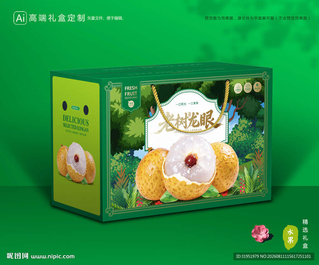 龙眼包装 桂圆礼盒