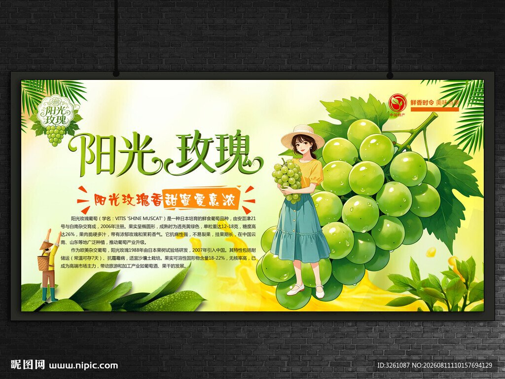 阳光玫瑰