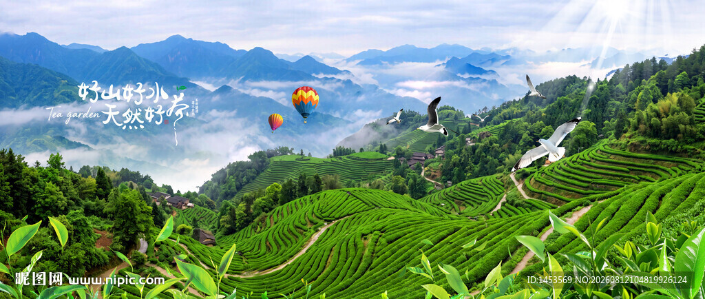 茶山