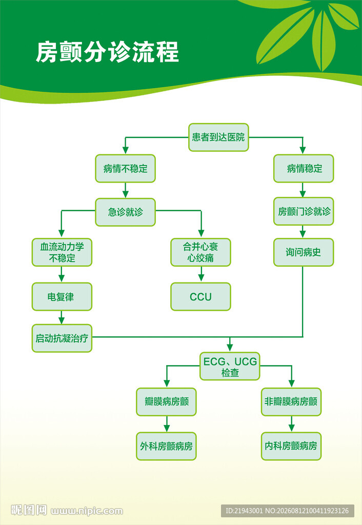 房颤分诊流程