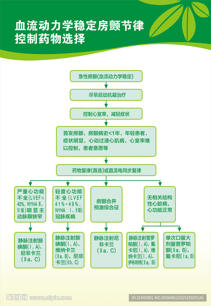 血流动力学稳定房颤节律控制药物