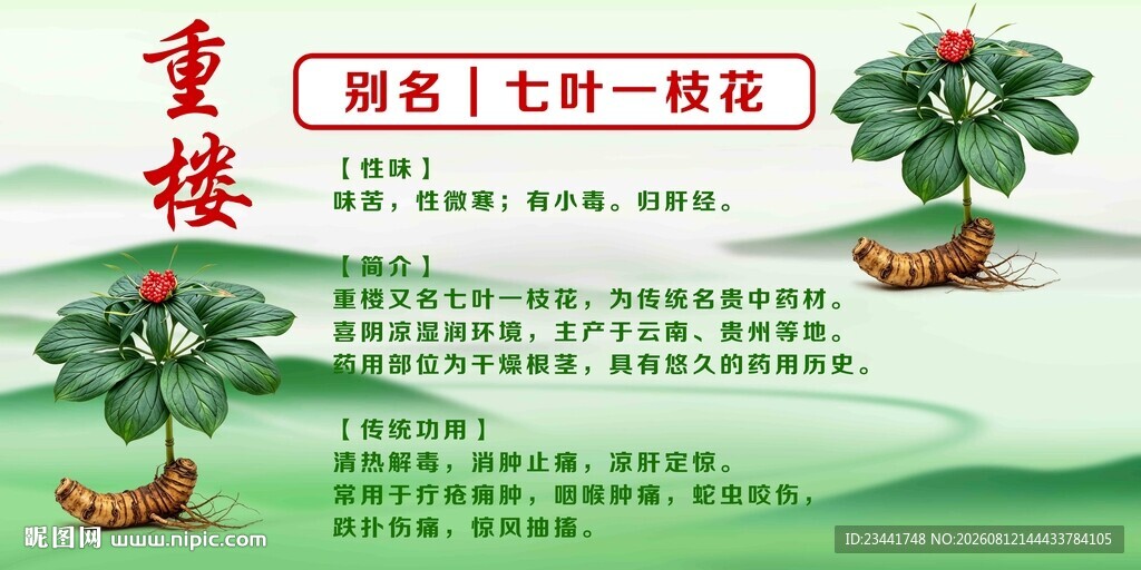重楼 