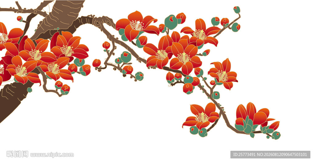 木棉花