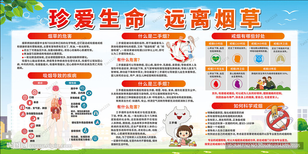 珍爱生命远离烟草宣传栏