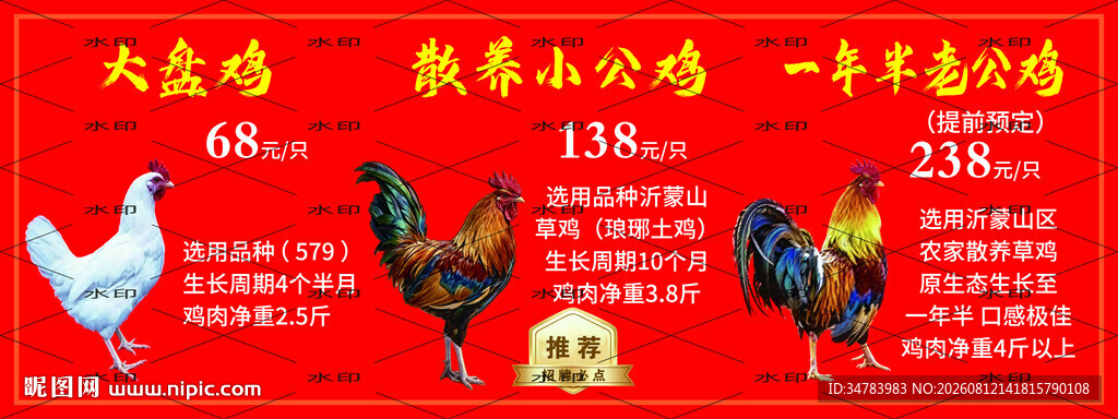 鸡