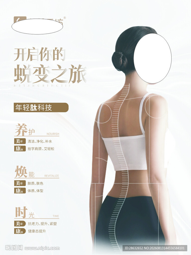 女人后面曲线