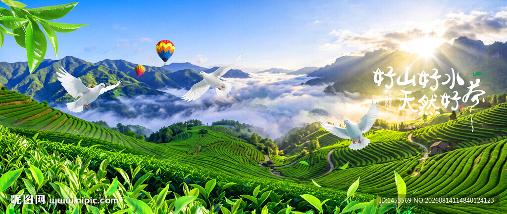 茶山