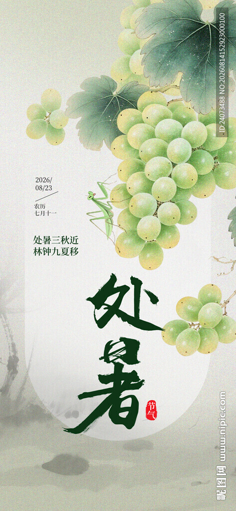 处暑时节葡萄插画