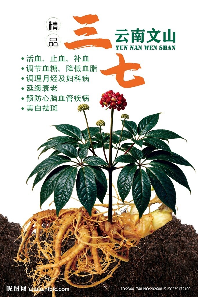 三七