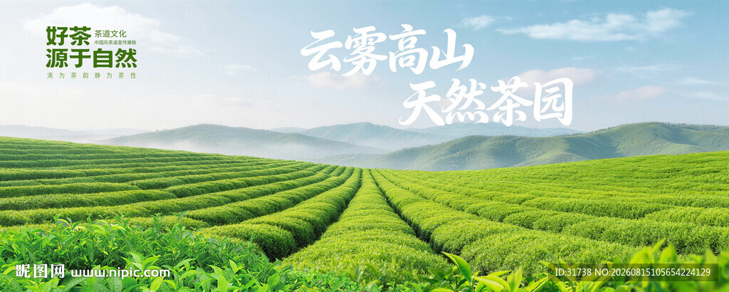 茶园