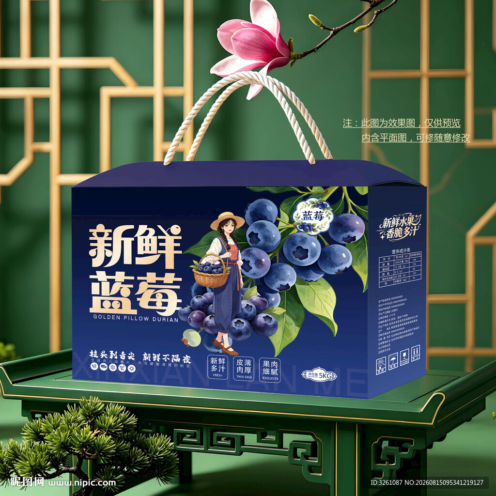 蓝莓包装