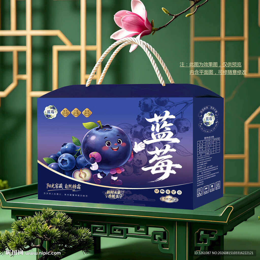 蓝莓包装