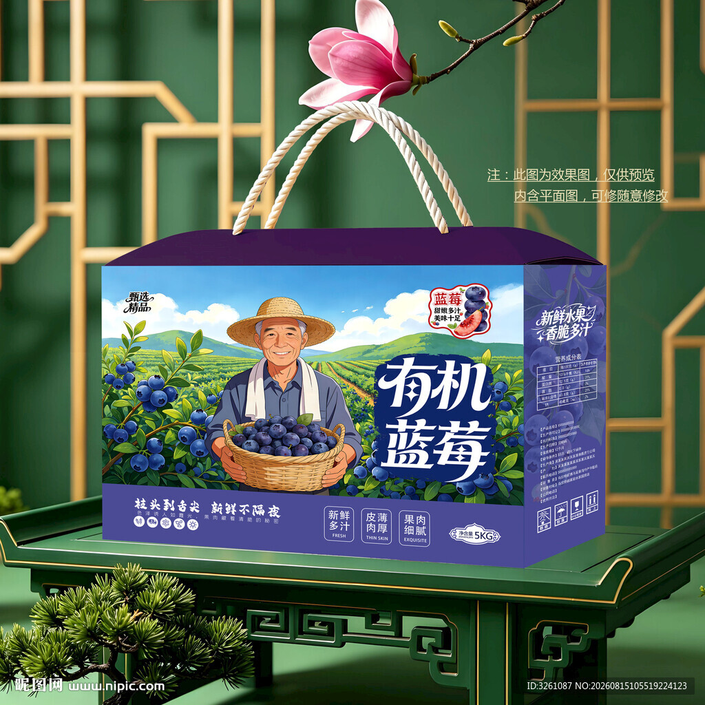 蓝莓包装