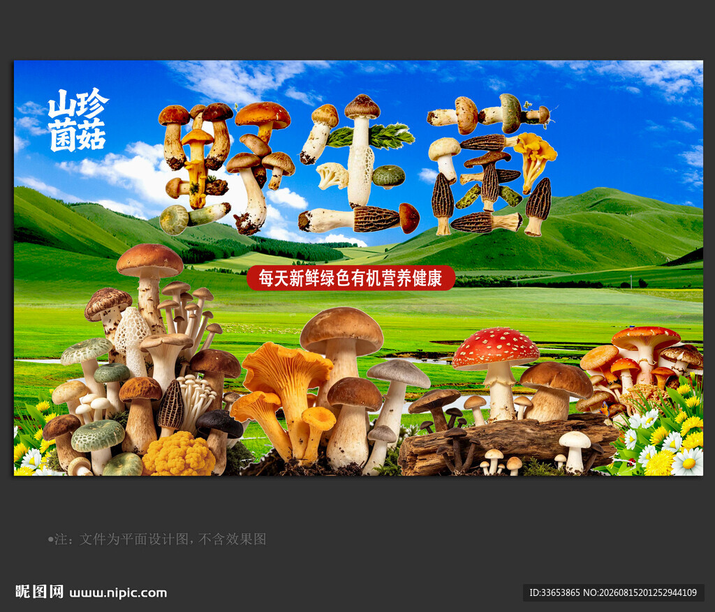 野生菌