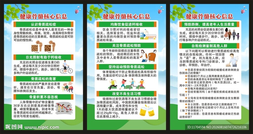 健康骨骼核心信息展板