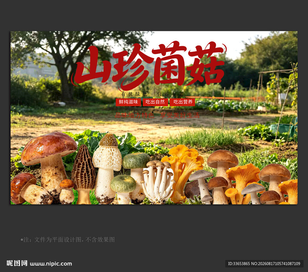 野生菌
