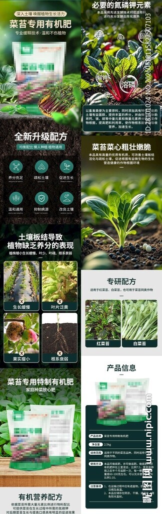 菜苔详情