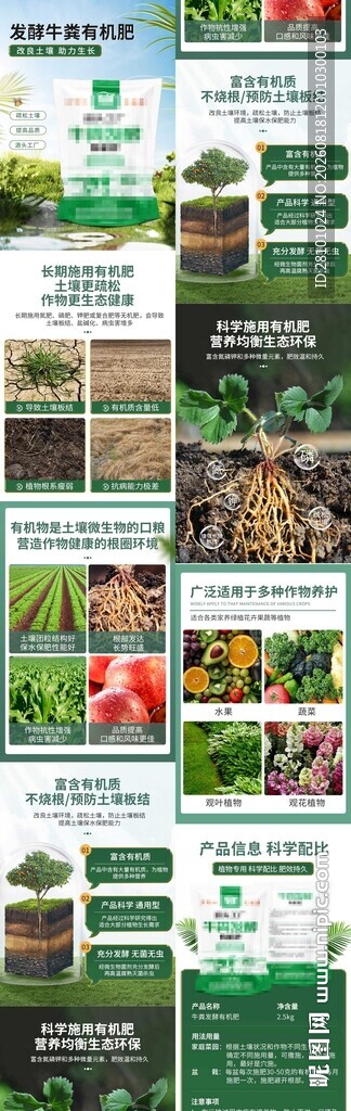 多样绿植盆栽展示