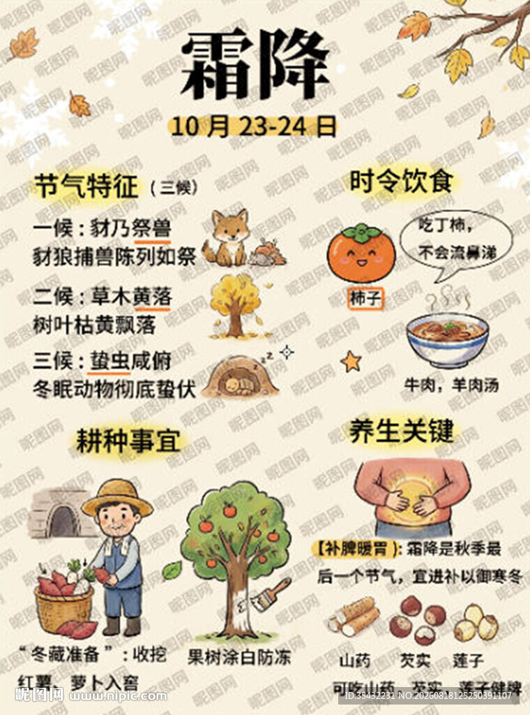 24节气之霜降