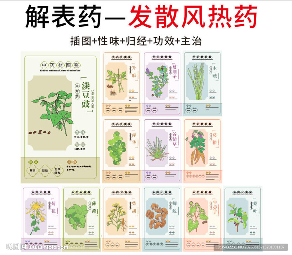 中草药大全之发散风热药
