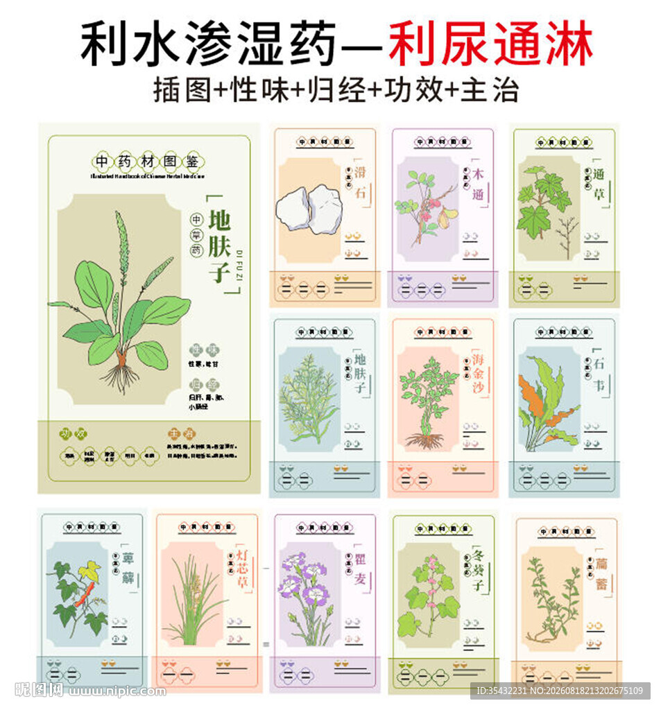 中草药大全之利尿通淋