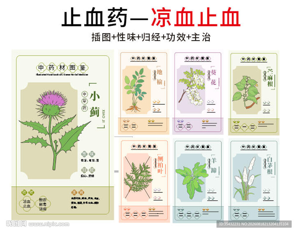 中草药大全之凉血止血药