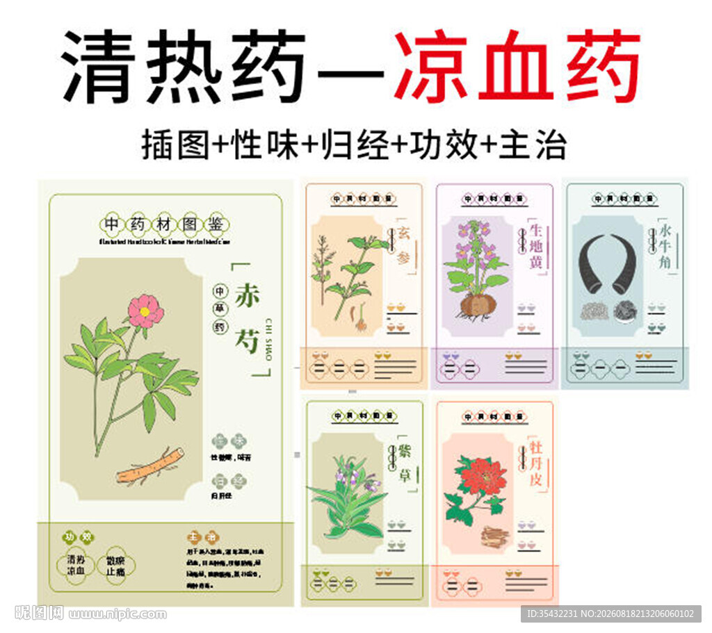 中草药大全之凉血药