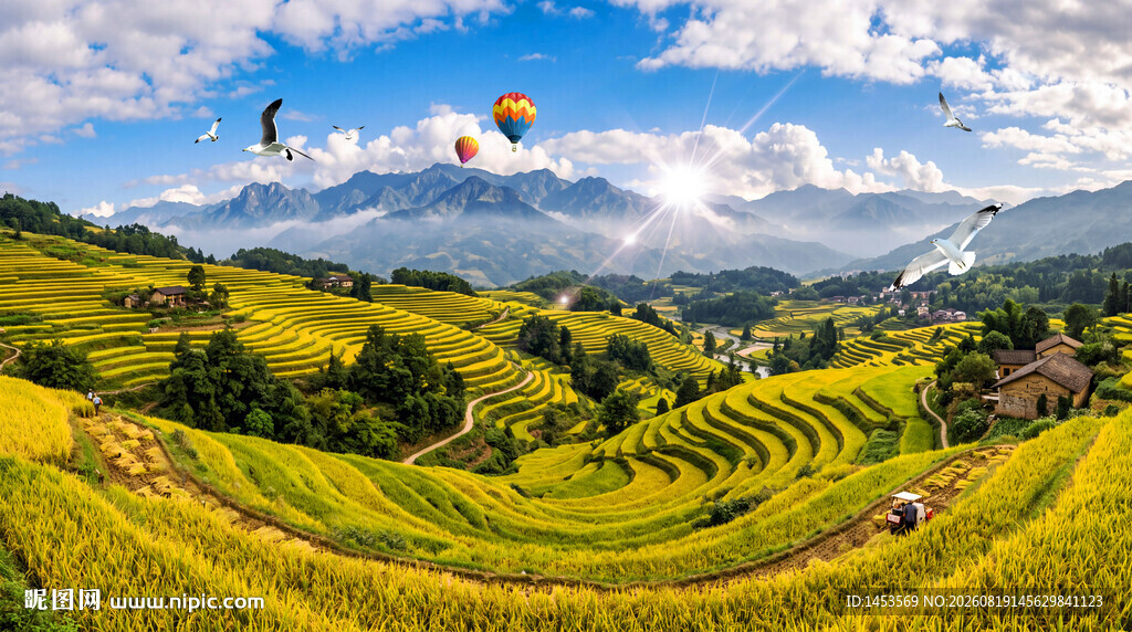 乡村梯田