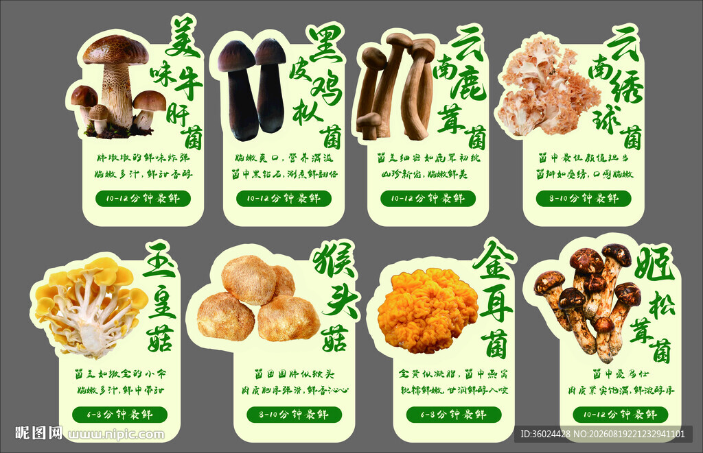 多样菌类食材展示