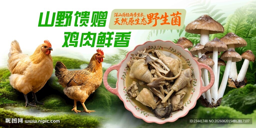 野生菌炖土鸡