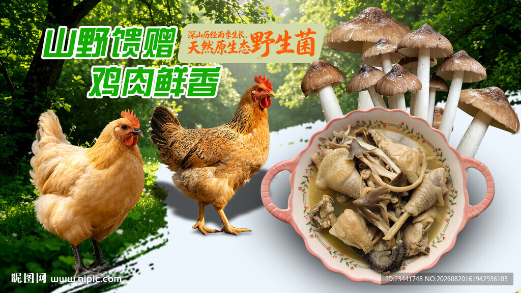 山珍火锅