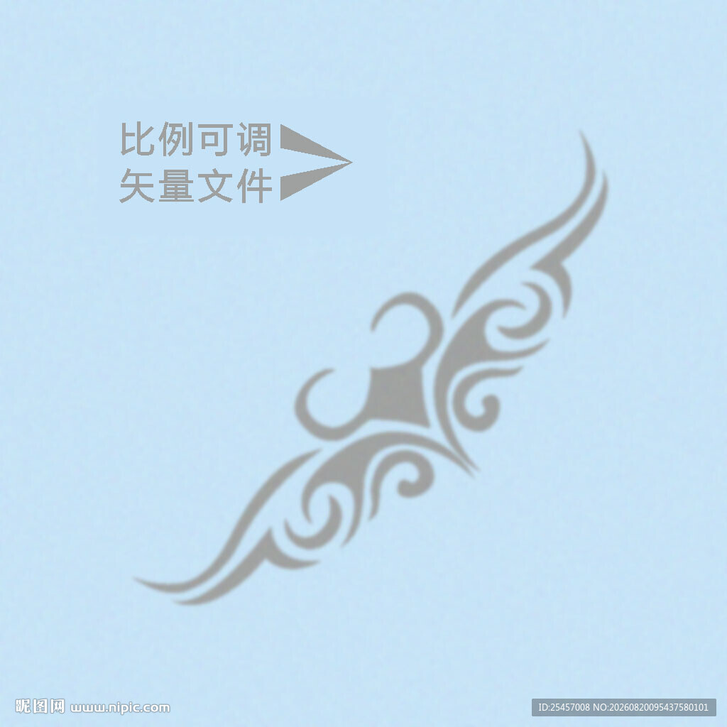 对称翅膀